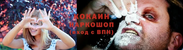 стаф Арсеньев
