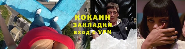 стаф Арсеньев