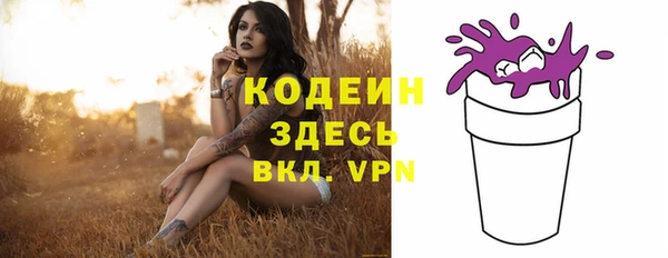 шишки Баксан