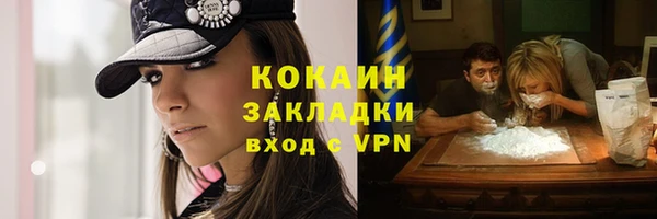 шишки Баксан