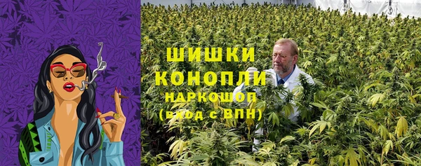 шишки Баксан