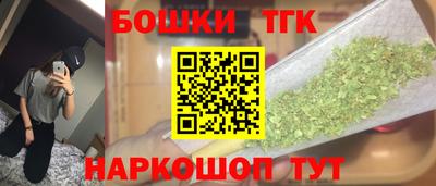 индика Лесосибирск