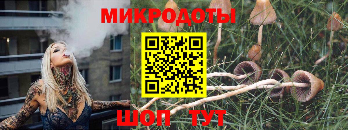 Кувандык  Галлюциногенные грибы мухоморы  Псилоцибиновые грибы мухоморы  Вход с VPN 