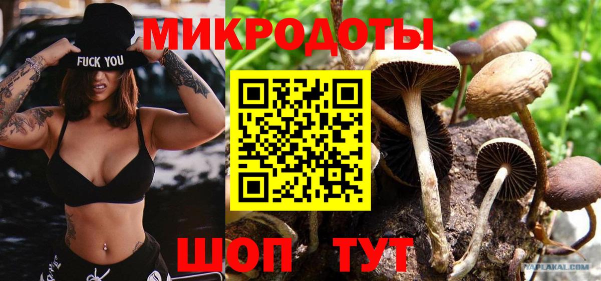 Псилоцибиновые грибы GOLDEN TEACHER Кувандык