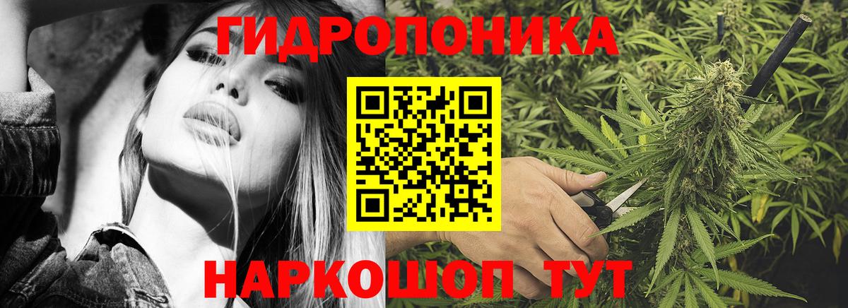 Конопля план  Вход с VPN  Каннабис ГИДРОПОН  Каннабис планчик  Кувандык  Бошки марихуана марихуана 